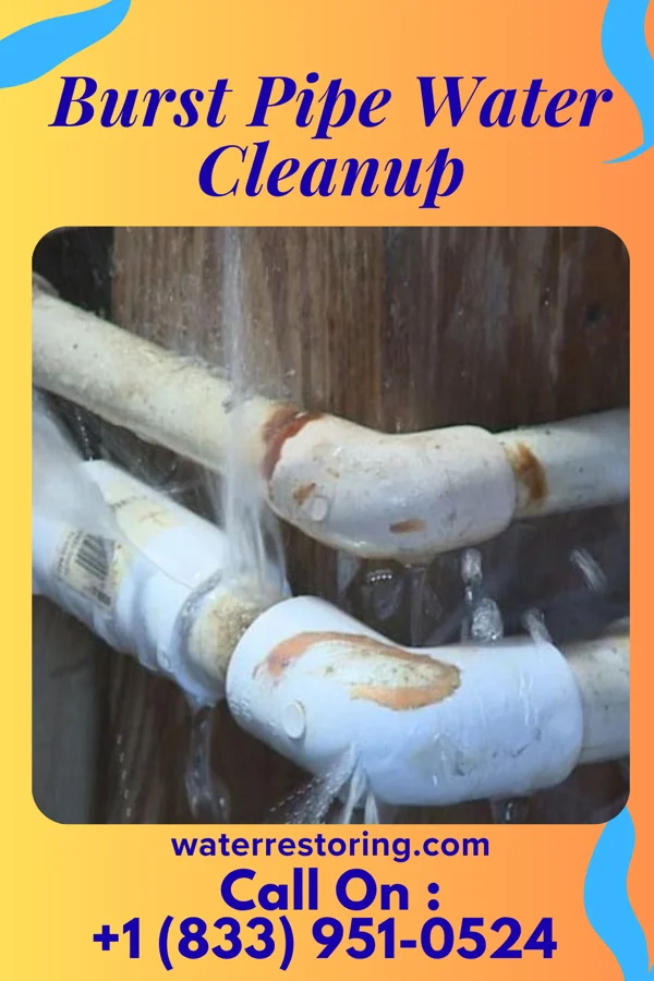 Burst Pipe Water Cleanup in North Sea, NY