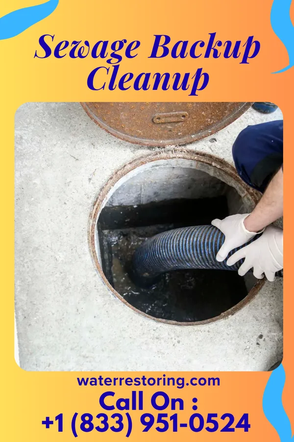 Sewage Backup Cleanup in North Sea, NY