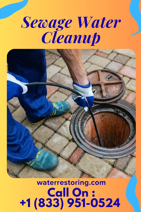 Sewage Water Cleanup in North Sea, NY