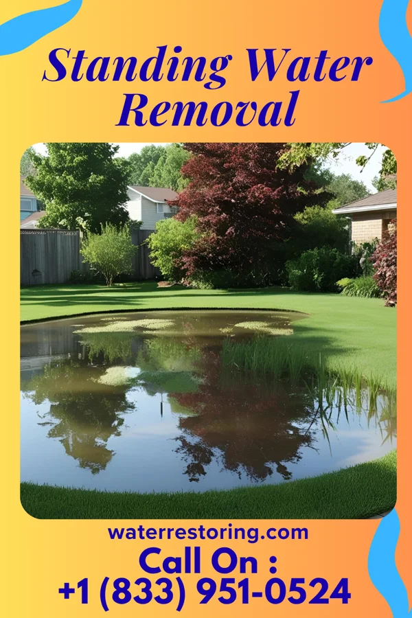 Standing Water Removal in North Sea, NY